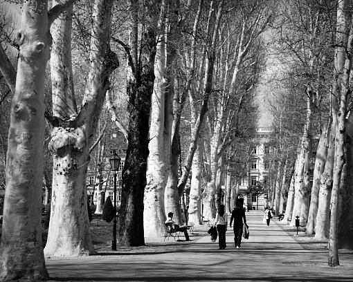 Zagreb park in Spring-zagreb-park.jpg