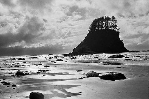 Ozette Coast Pics-beach_camp.jpg
