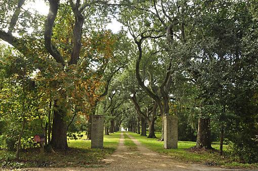 Some of the old south-_dsc1438.jpg