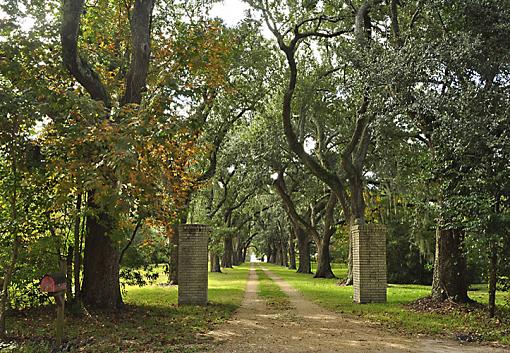 Some of the old south-_dsc1438.jpg