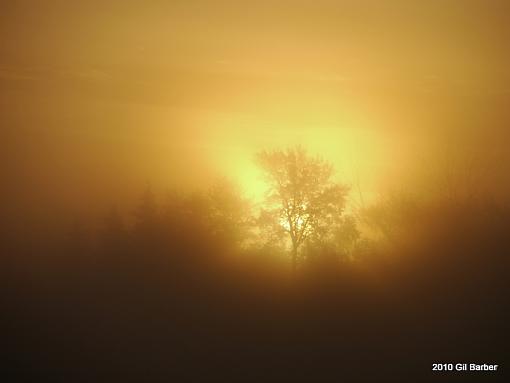 Misty Sunrise-_1030444-1.jpg