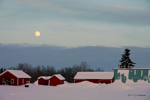 Across the road - Winter Scene-p1050023-1.jpg