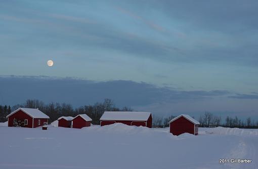 Across the road - Winter Scene-p1050025-5a-copy.jpg