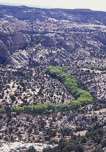 Utah vacation-river-green-grand-staircase-escalante.jpg