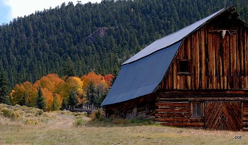 Rustic old barn-imgp9383.jpg