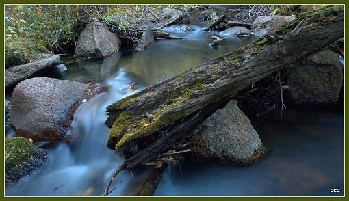 Moss riddled fallen log....-picasabackground-1.jpg