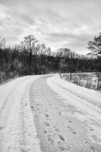 road to somewhere-whiter-road.jpg