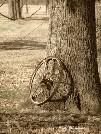 My Photography-img_21201.jpg
