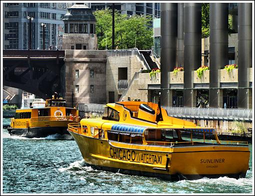 Water Taxies in Chicago River-water-taxi.jpg