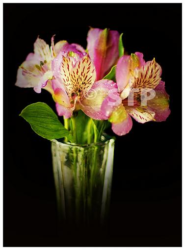 Flower is a Vase-vase-study-3.jpg