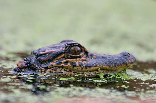 Hunting-img_0167-web.jpg