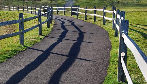 Curved Path-curved-path.jpg