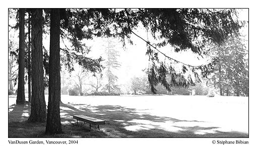 Desat. Garden Pic.-pano-bw-preview2.jpg