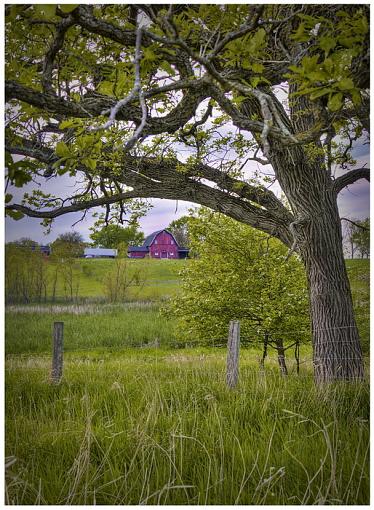 Farm in Springtime-farm-springtime-c.jpg