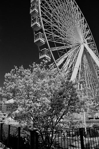 Ferris wheel-ferriswheel-1-1-.jpg