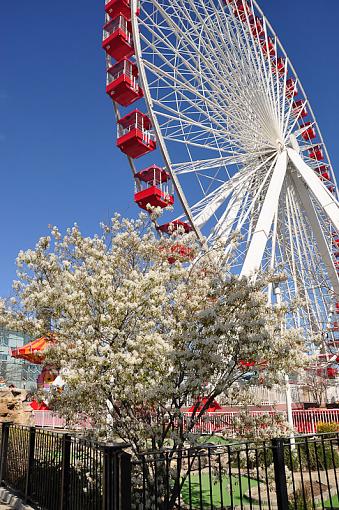 Ferris wheel-ferriswheelcolor-1-1-.jpg