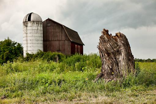 Tree stump &amp; barn-20090810-0157-.jpg