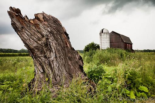 Tree stump &amp; barn-20090810-0153-.jpg