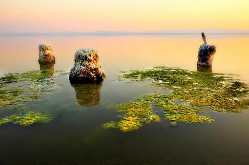 Salton Stumps-saltonsea_edit.jpg
