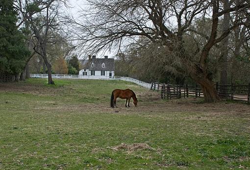 Country scene-195-photographyreview.jpg