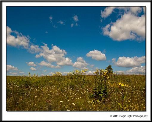 A Walk In The Prarie-prairie.jpg