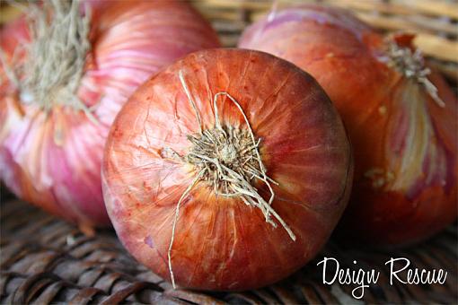Rustic Onions-aw.jpg