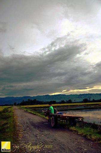 Rural scenery-child-farmer.jpg