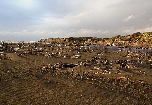 Trees Graveyard-trees-graveyard.jpg