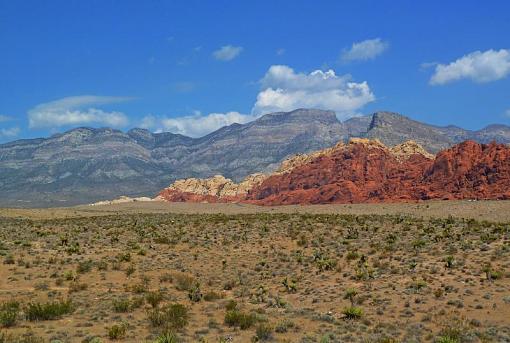 Red rock canyon-p1010326abredrockcanyon.jpg