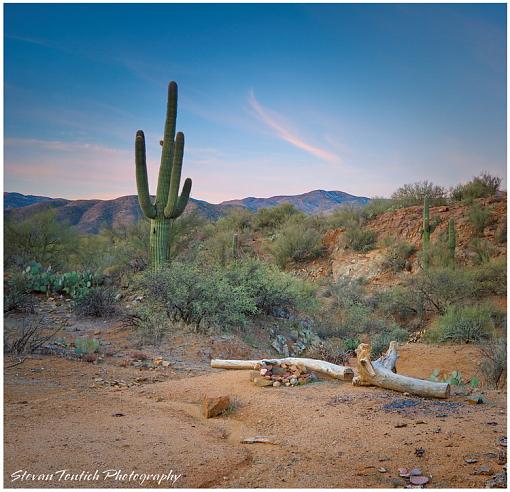 Camp At Dawn-campfire-site2.jpg