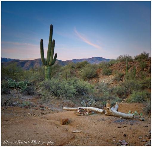 Camp At Dawn-campfire-site-2.jpg