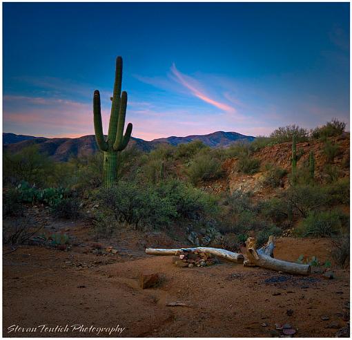 Camp At Dawn-campfire-site2-edited.jpg