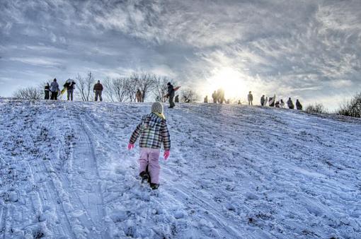 sledding hill-sledding.jpg