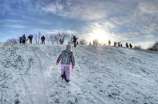 sledding hill-sledding.jpg