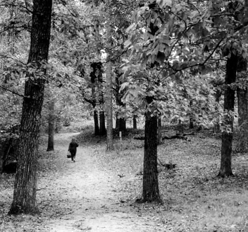 On the path-po-path-bw-75.jpg