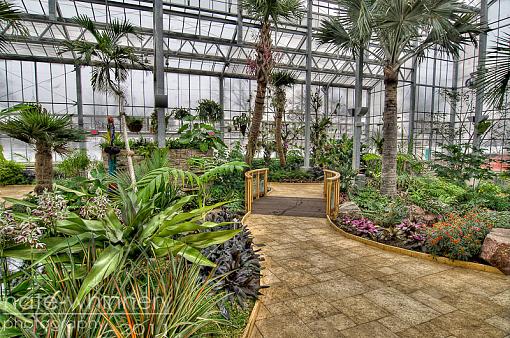 conservatory-untitled-1-1-2.jpg