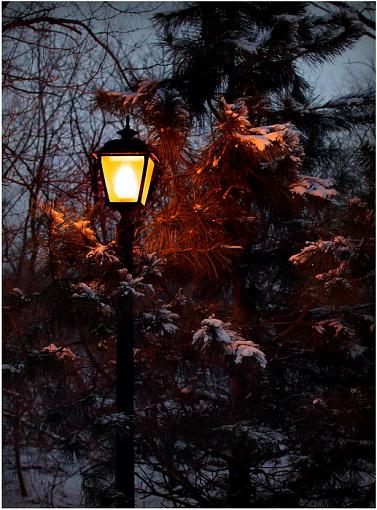 Mr. Tumnus?-lamp-post_1.jpg