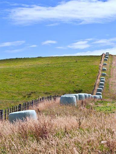 Harsh light exercise-bales3.jpg