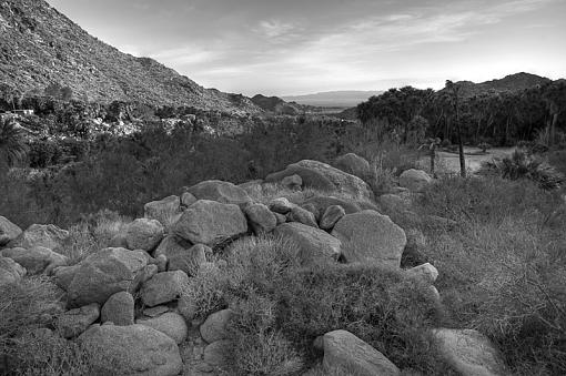 Guadalupe Canyon, Mexico - Image 1-dsc_9894_5_6_7_8_tonemapped_bw_800.jpg