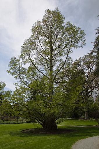 A visit to Government House Garden in Victoria, BC.-adj_img_9635.jpg