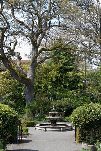 A visit to Government House Garden in Victoria, BC.-adj_img_9685.jpg