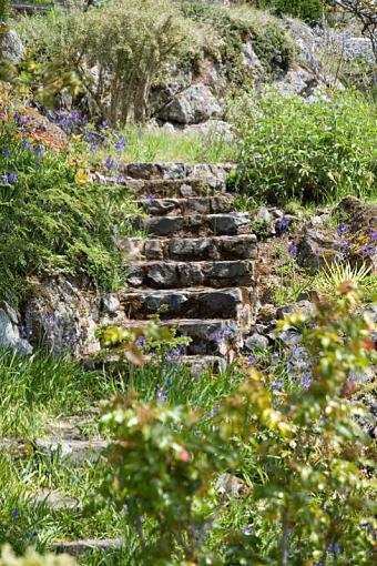 Hidden stairs...-adj_img_9704.jpg