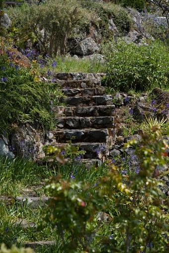 Hidden stairs...-adj2_img_9704.jpg