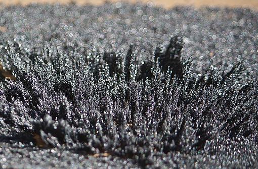 Flux and Filings-flux2.jpg