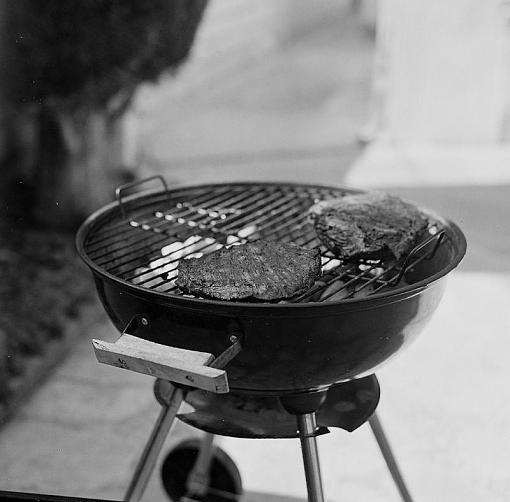 Hasselblad test shots-grill.jpg