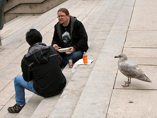 Are you gonna finish that, sir?-lunch_2693.jpg