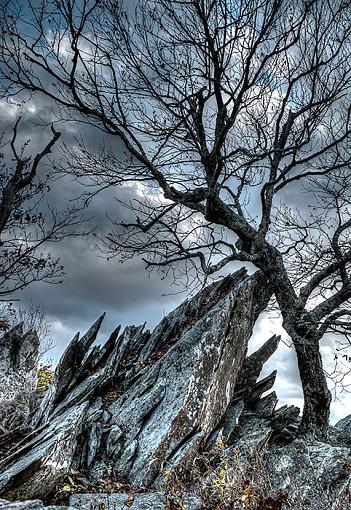 Leaning on a Friend-where-rock-meets-land.jpg