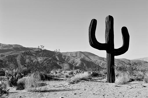 The Great American Southwest-dsc_9087_8_9_tonemapped_bw_800.jpg