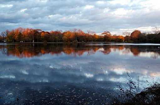 autumns' last-autumn-shades.jpg