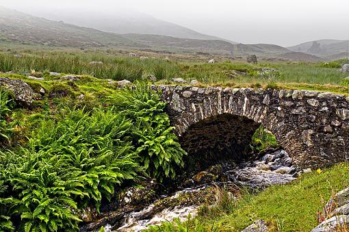 Scottish sunshine-bridge1.jpg